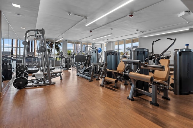 workout area with a wall of windows and wood-type flooring