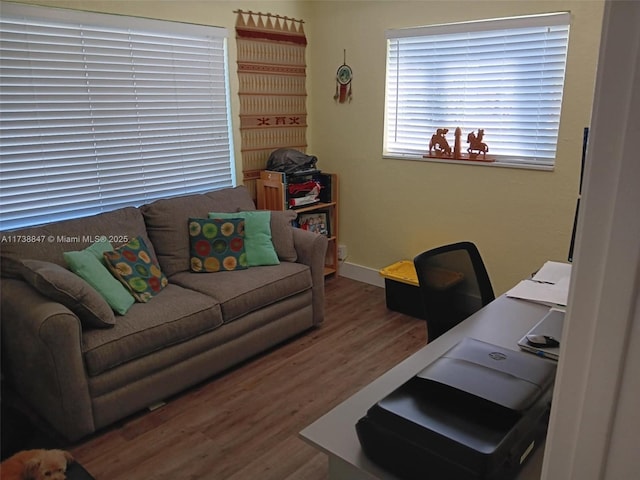 home office featuring wood-type flooring