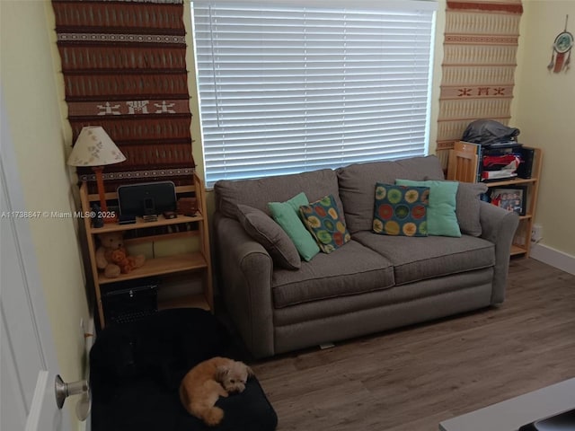 living room featuring hardwood / wood-style flooring