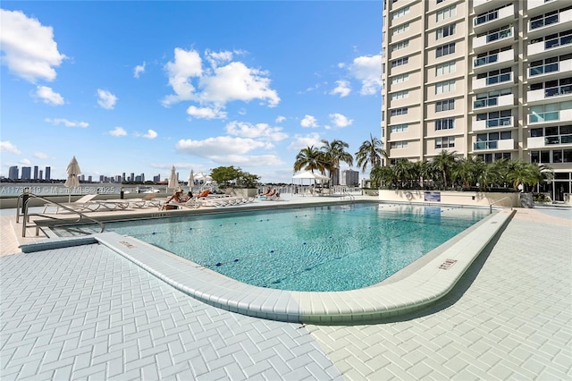 view of pool featuring a patio area