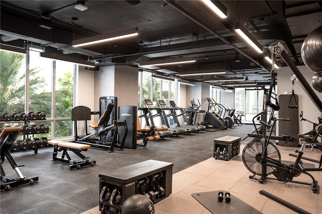 gym with expansive windows