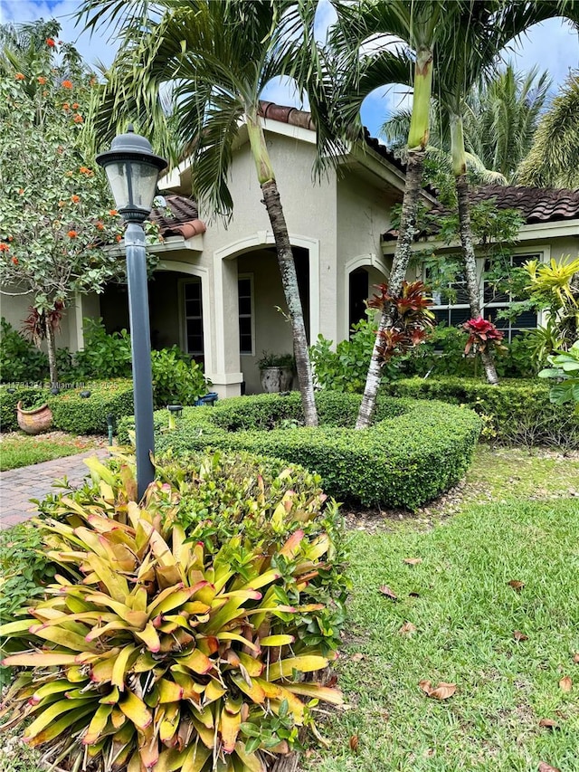 view of front facade featuring stucco siding