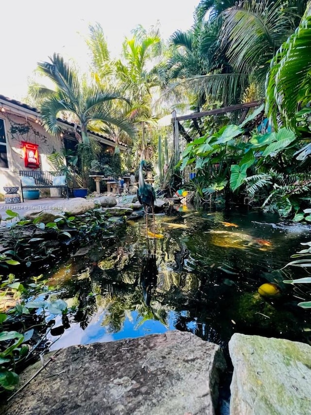 view of yard with a garden pond