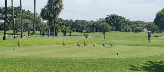 view of property's community with a water view, a yard, and golf course view