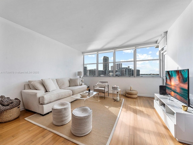 living room with hardwood / wood-style flooring and a healthy amount of sunlight