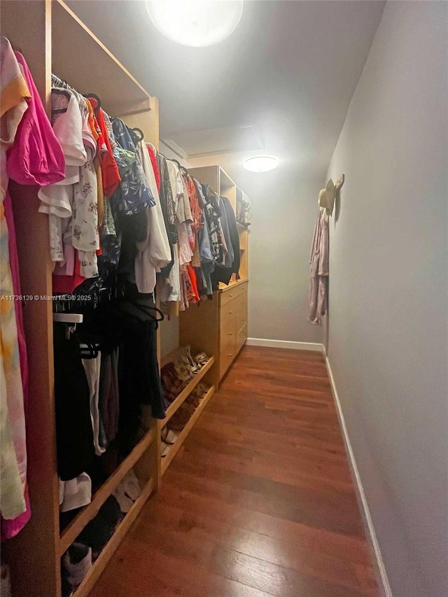 spacious closet featuring wood-type flooring