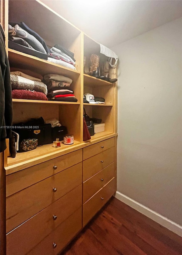 spacious closet with dark hardwood / wood-style floors