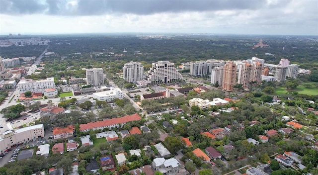 bird's eye view