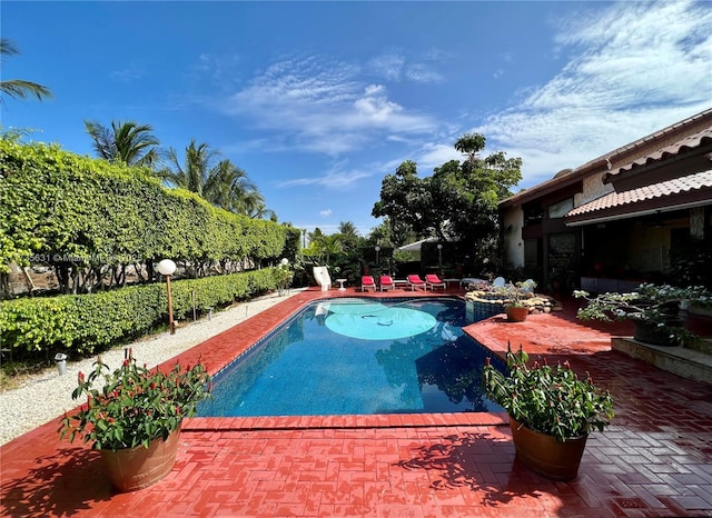 view of pool featuring a patio area