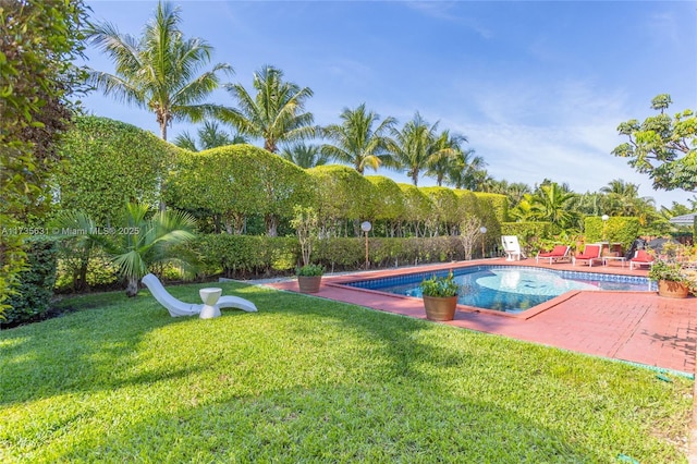 view of pool with a patio area and a lawn