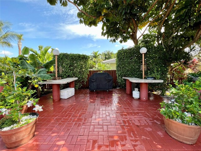 view of patio / terrace with grilling area