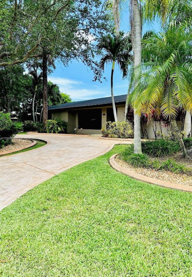 ranch-style home with a front yard