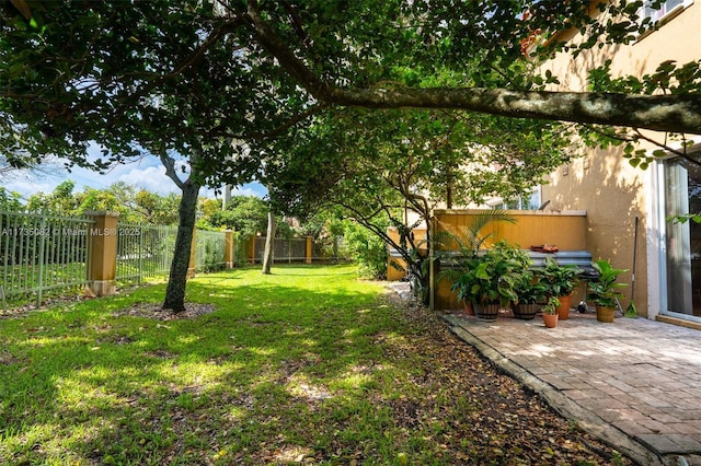 view of yard featuring a patio