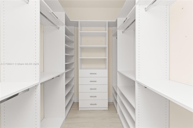 spacious closet featuring light hardwood / wood-style floors