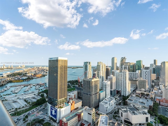 property's view of city with a water view