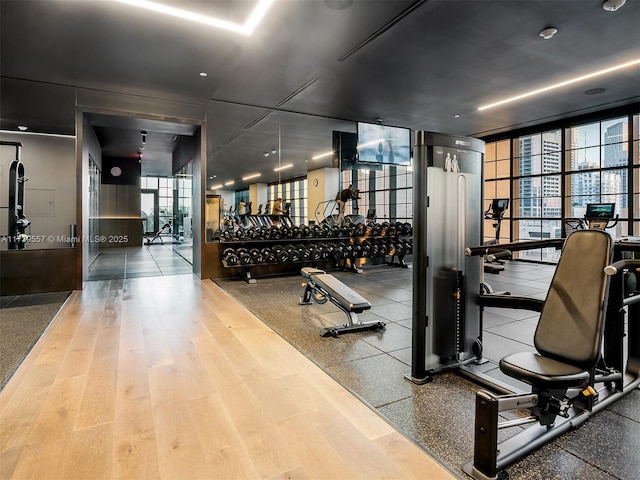 gym with floor to ceiling windows