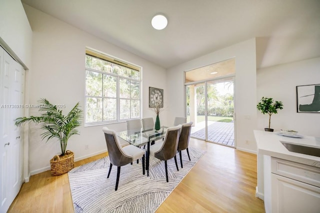 dining area with light hardwood / wood-style floors and a healthy amount of sunlight