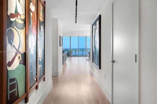 hallway featuring rail lighting, light wood-type flooring, and a wall of windows