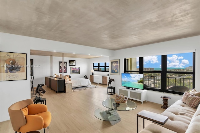 living room with light wood-type flooring