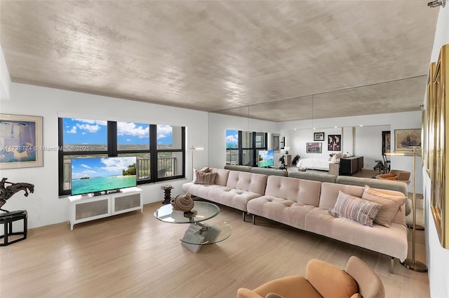 living room with wood-type flooring