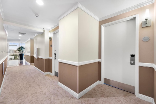 hallway featuring crown molding and light colored carpet