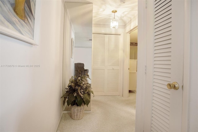 corridor with carpet floors