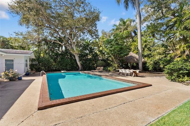 view of swimming pool with a patio area