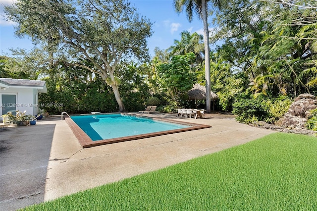 view of swimming pool with a patio area