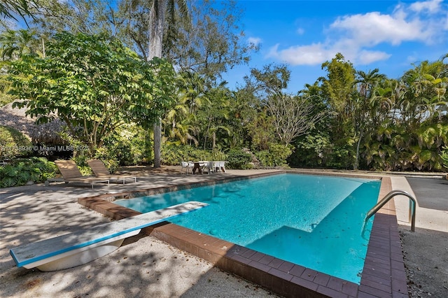 view of swimming pool with a patio