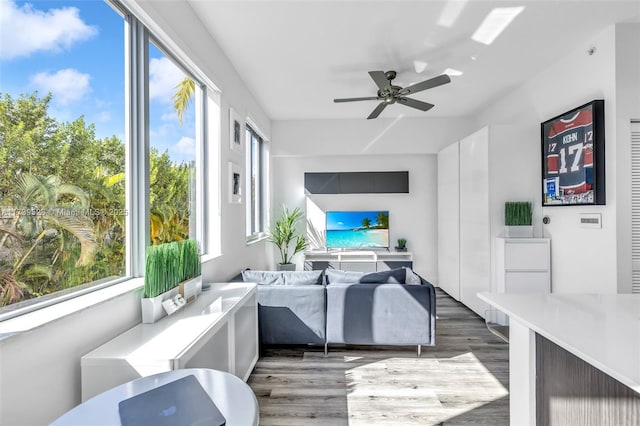 living room with ceiling fan and dark hardwood / wood-style floors