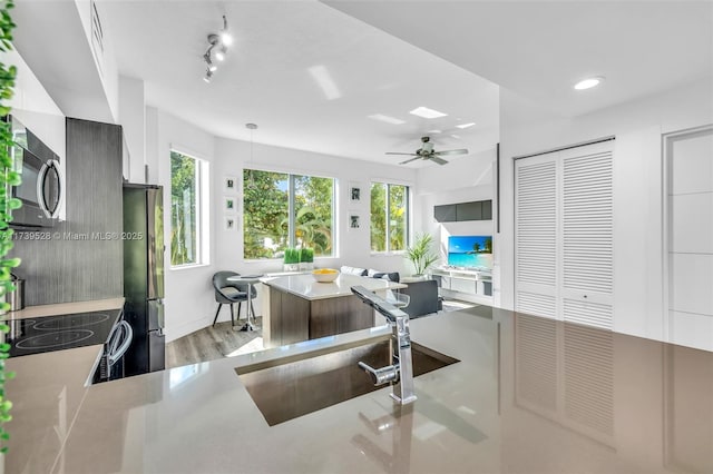 kitchen with appliances with stainless steel finishes, rail lighting, sink, hanging light fixtures, and light wood-type flooring