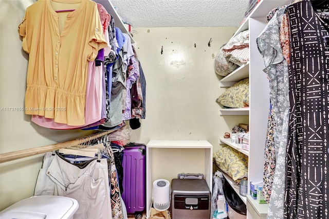 view of spacious closet