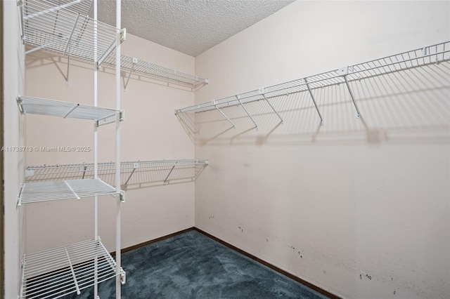 spacious closet featuring dark colored carpet