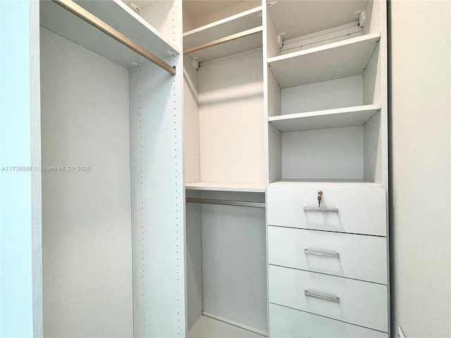 view of spacious closet