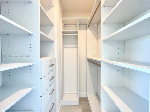 walk in closet with light wood-type flooring