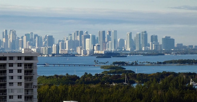 city view with a water view