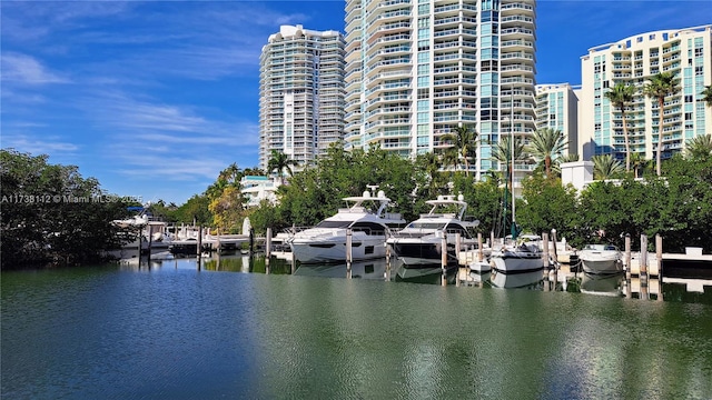 property view of water featuring a boat dock