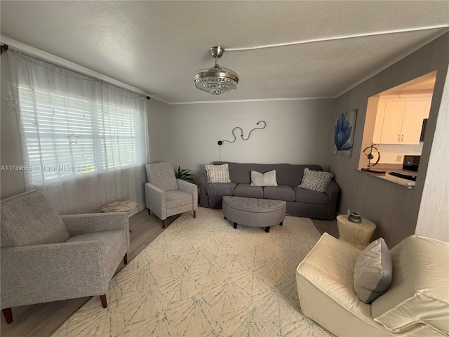 living room featuring ornamental molding and a textured ceiling