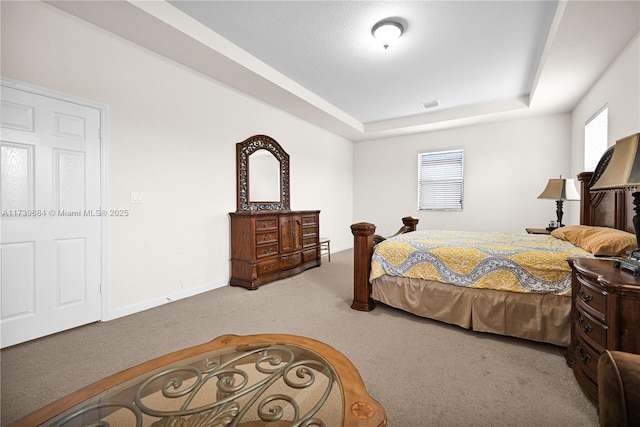 bedroom with a raised ceiling and carpet