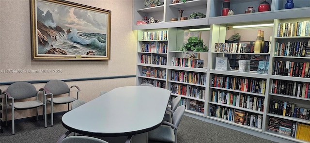 interior space featuring carpet floors