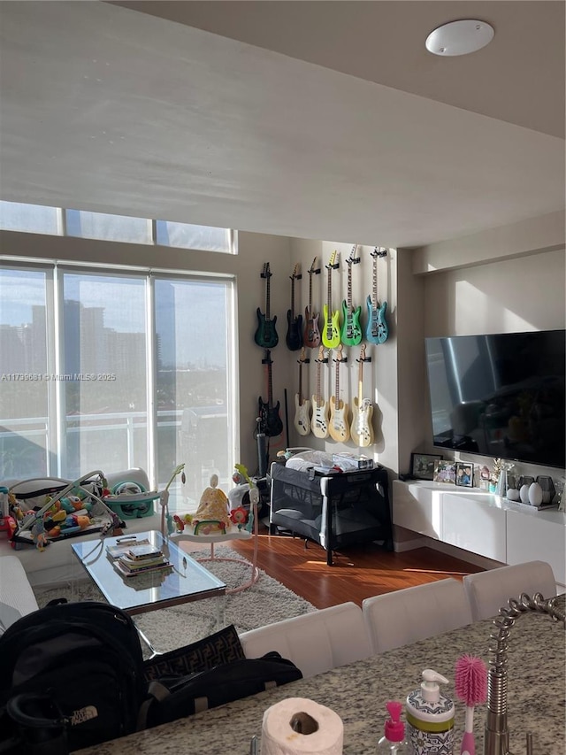 living room featuring hardwood / wood-style floors