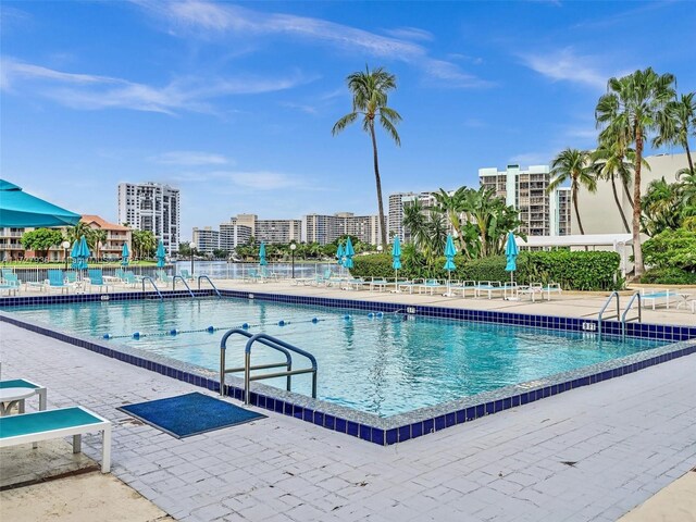 view of swimming pool featuring a patio area