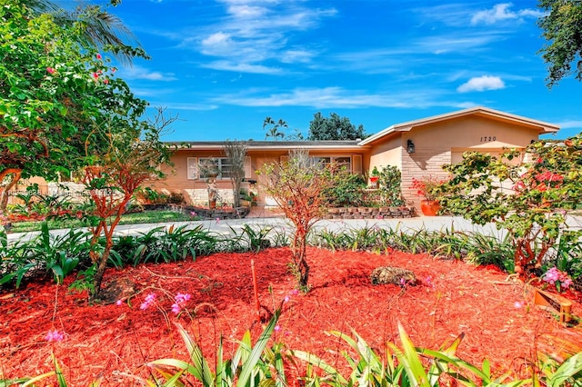 view of front facade featuring stucco siding