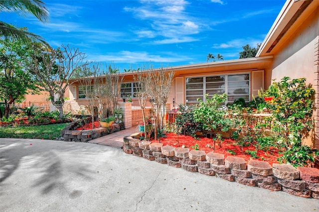 view of front of home with stucco siding