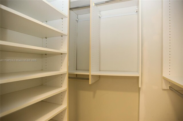 view of walk in closet