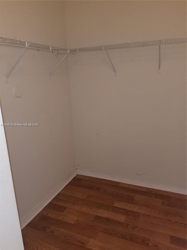 walk in closet featuring wood-type flooring