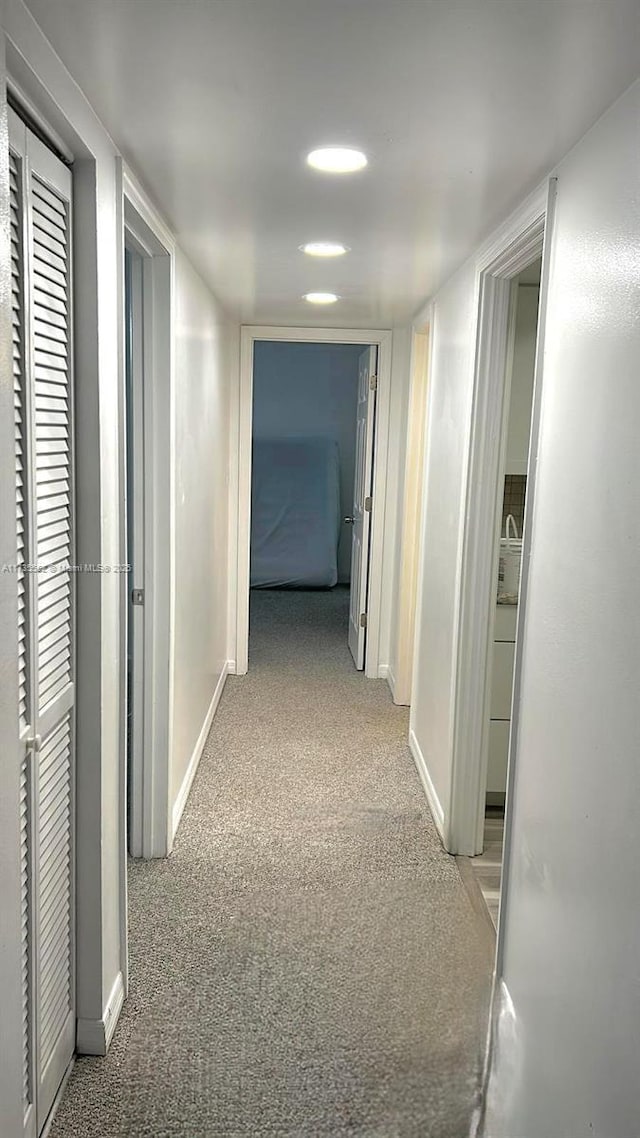 hallway featuring carpet