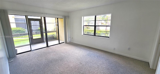 unfurnished room with light carpet, a healthy amount of sunlight, and a textured ceiling