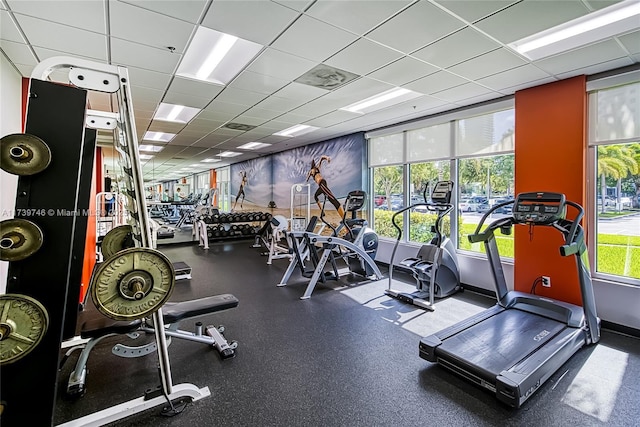 workout area featuring plenty of natural light and a drop ceiling