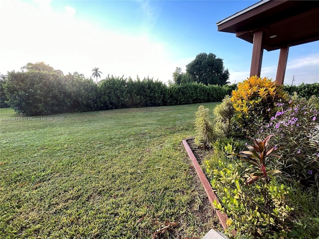 view of yard with a rural view